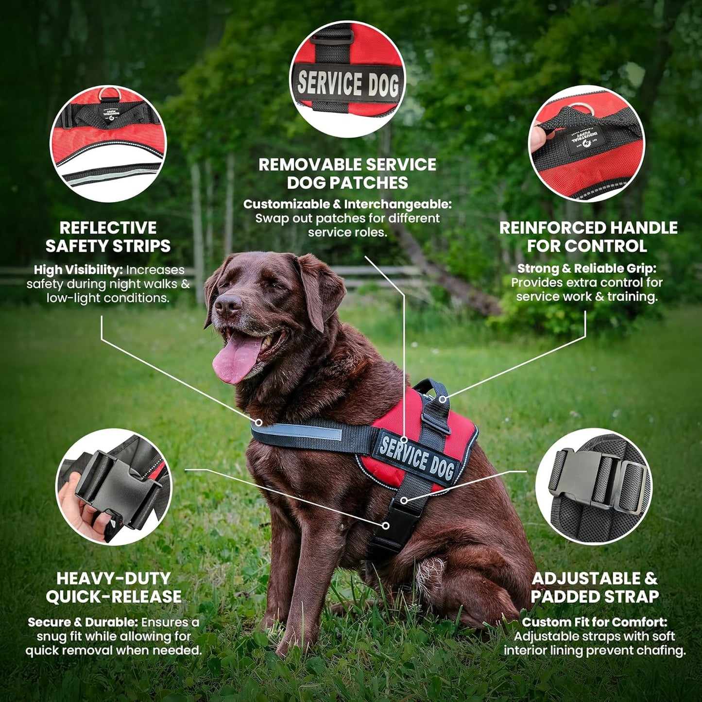 Premium Service Dog Vest and Leash Set - Reflective Patch, Comfortable Mesh Design, Sizes XXS to XXL