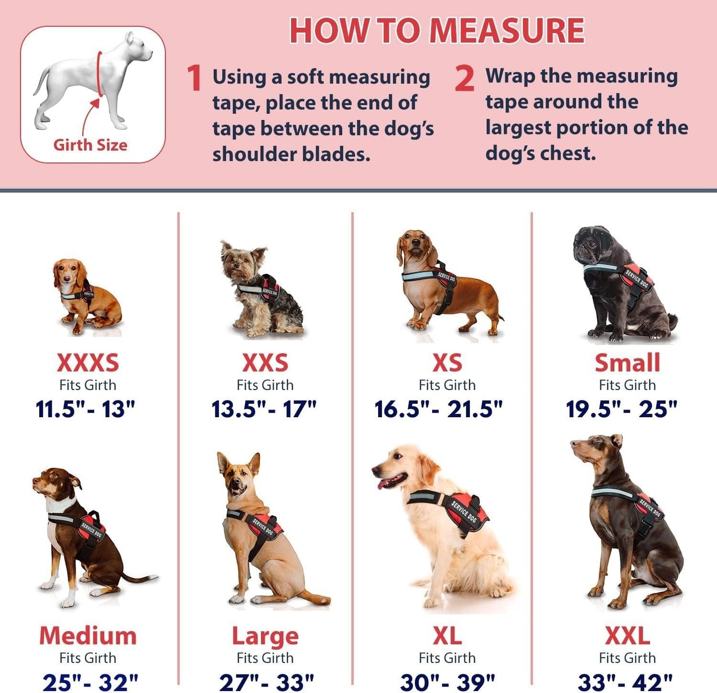 Premium Service Dog Vest and Leash Set - Reflective Patch, Comfortable Mesh Design, Sizes XXS to XXL