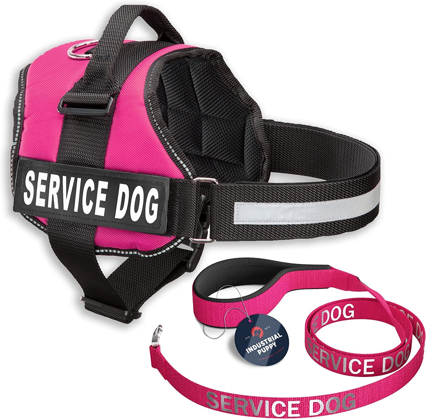Premium Service Dog Vest and Leash Set - Reflective Patch, Comfortable Mesh Design, Sizes XXS to XXL