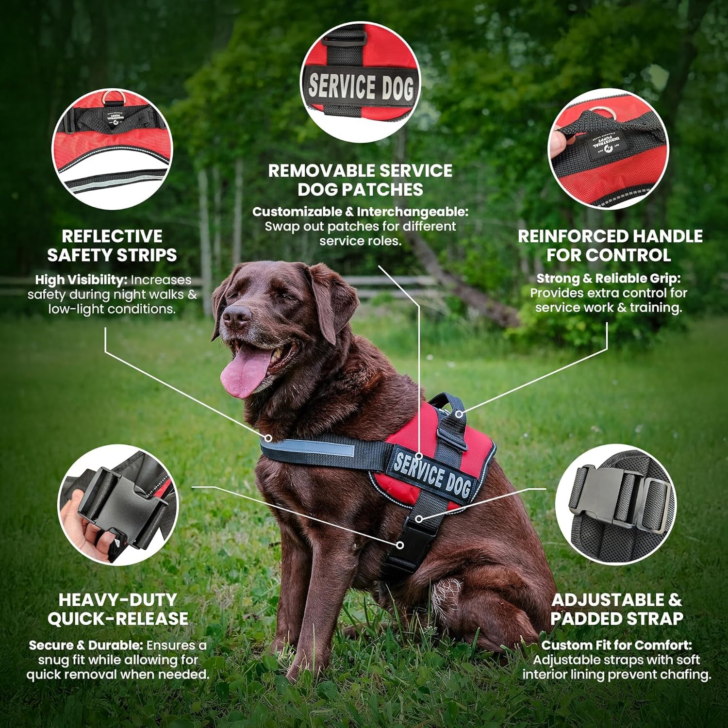 Premium Service Dog Vest and Leash Set - Reflective Patch, Comfortable Mesh Design, Sizes XXS to XXL