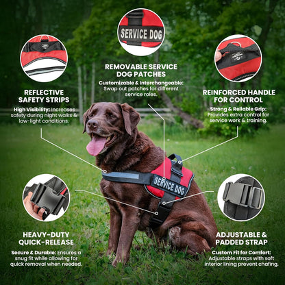 Premium Service Dog Vest and Leash Set - Reflective Patch, Comfortable Mesh Design, Sizes XXS to XXL