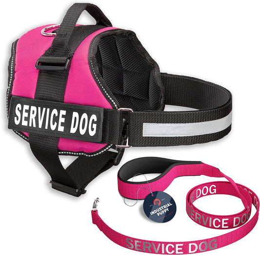 Premium Service Dog Vest and Leash Set - Reflective Patch, Comfortable Mesh Design, Sizes XXS to XXL